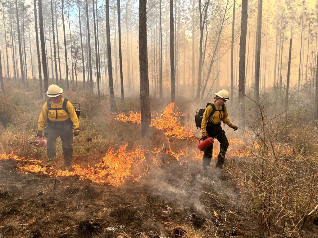 Women's Fire Crew conducting prescribed burns.