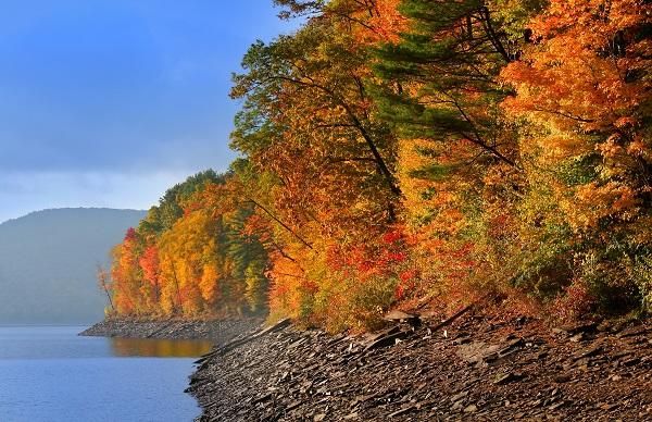 Orange and yellow fall leaves next to body of water on left