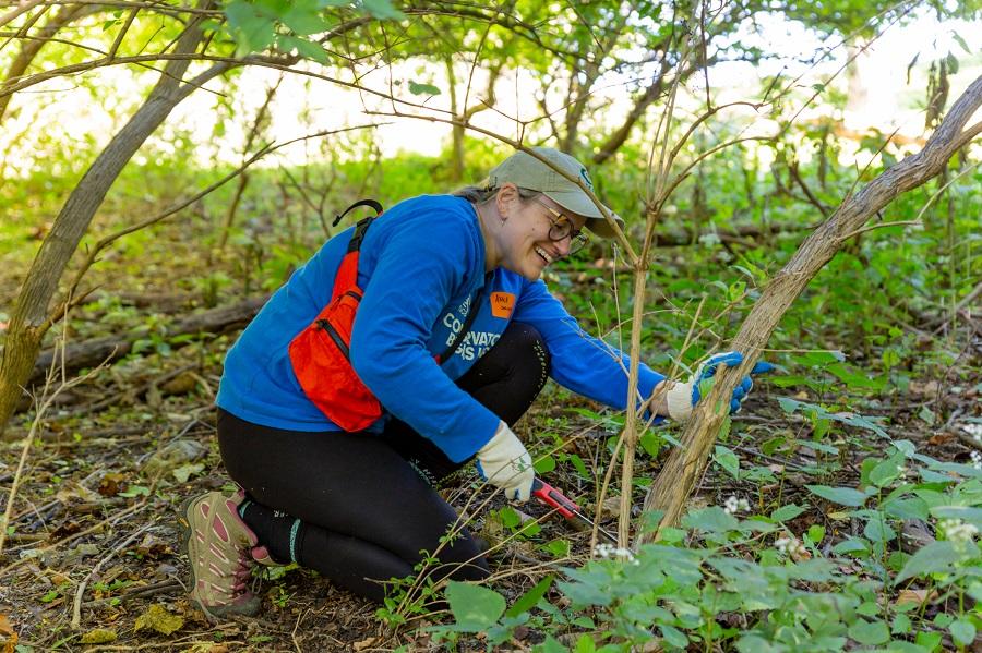 Woman smiling while holding tree and removing invasive plant species
