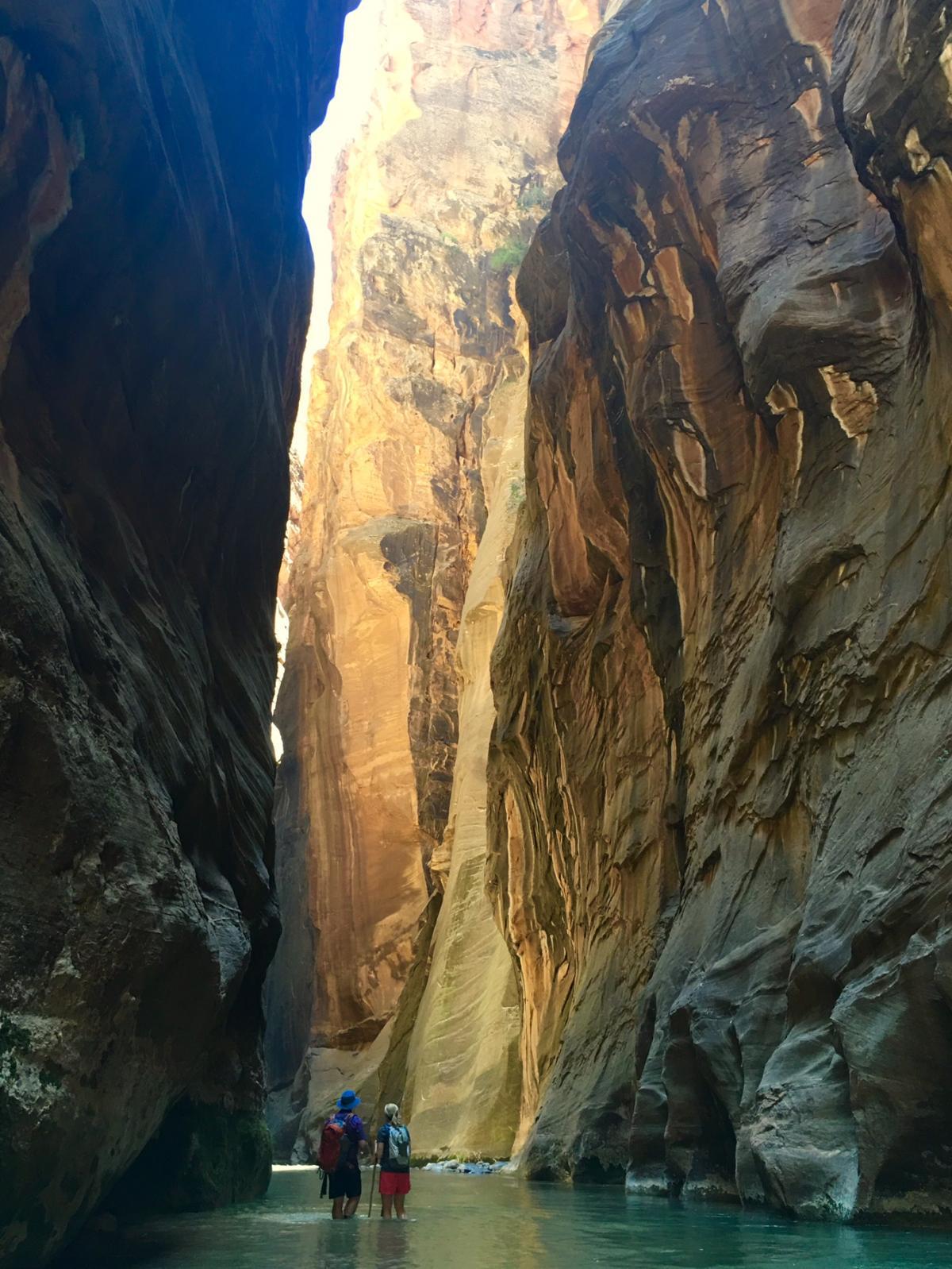 Hikers on Zion National Park's famous Narrows trail. 