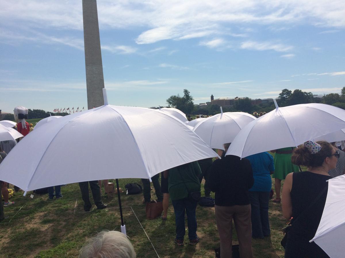 Volunteers use colored umbrellas to form a giant National Park Service logo on the National Mall in celebration of the 2016 NPS Centennial. 