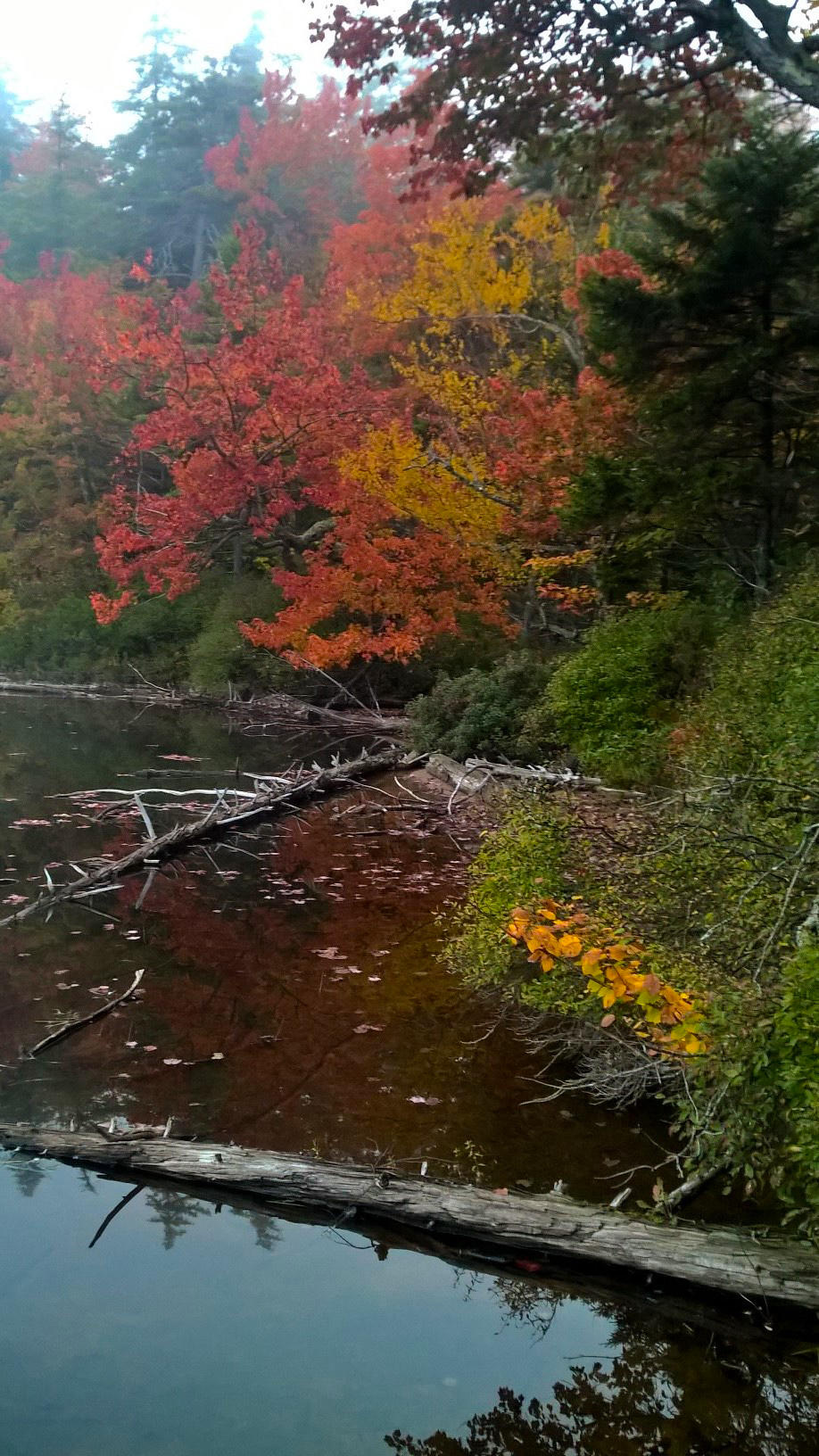 Fall Foliage in Adirondack Park, New York.
