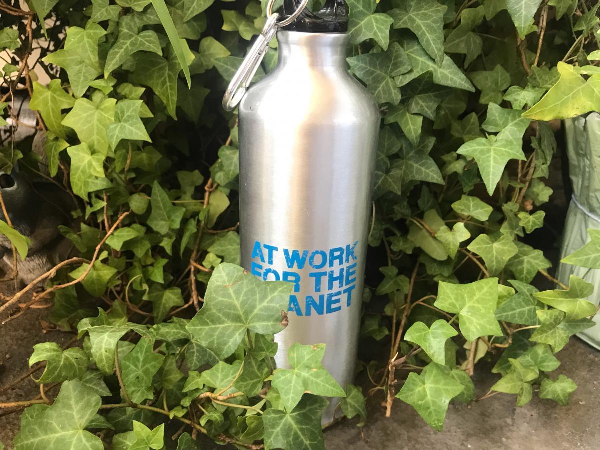 SCA water bottle in plants