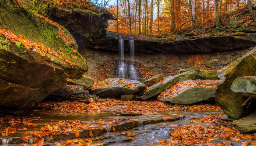 Why Leaves Change Color in the Fall - The Student Conservation Association